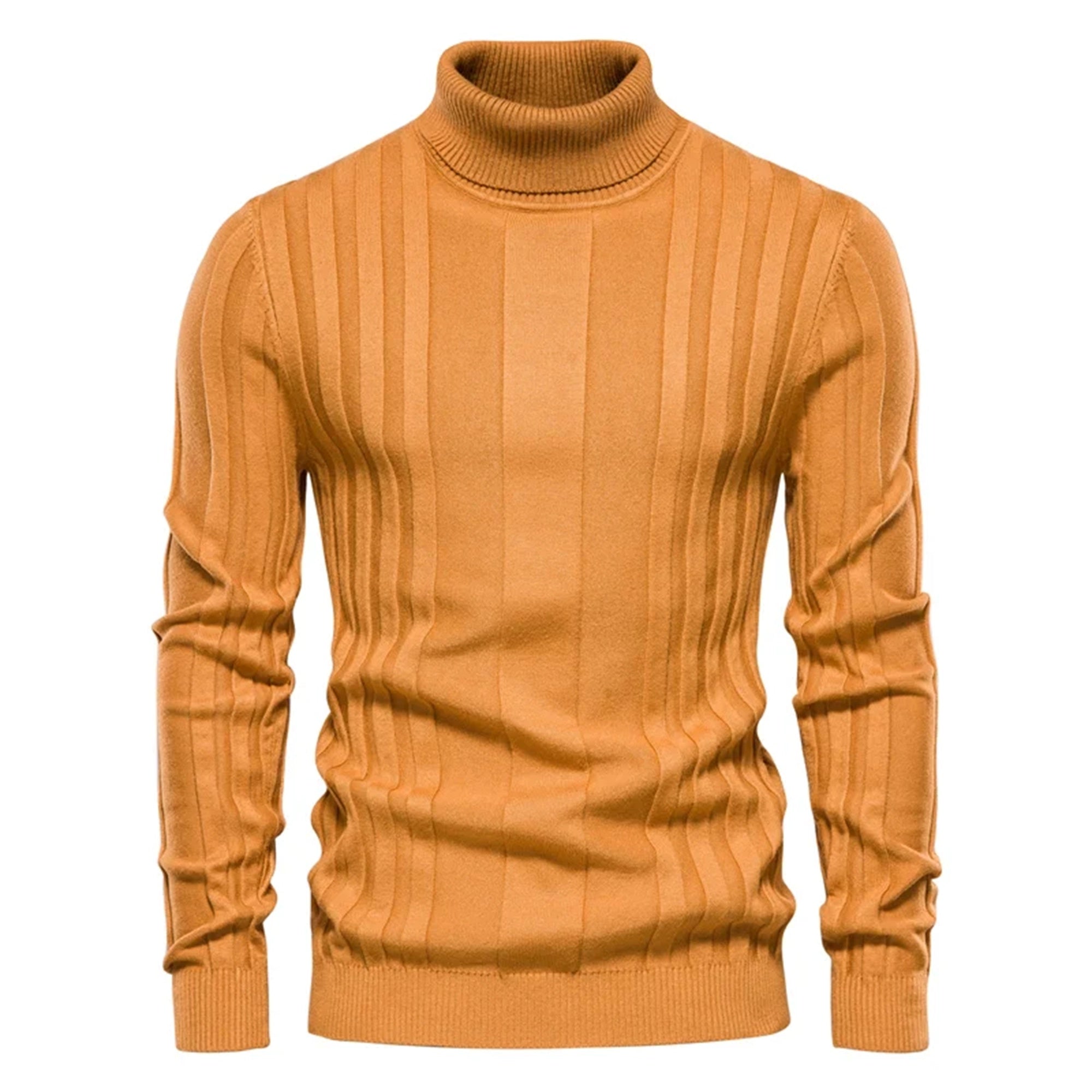 Men’s Stripe Turtleneck Sweater